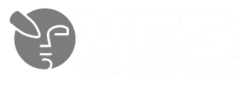 VES_logo_Transparent_838cdb5012